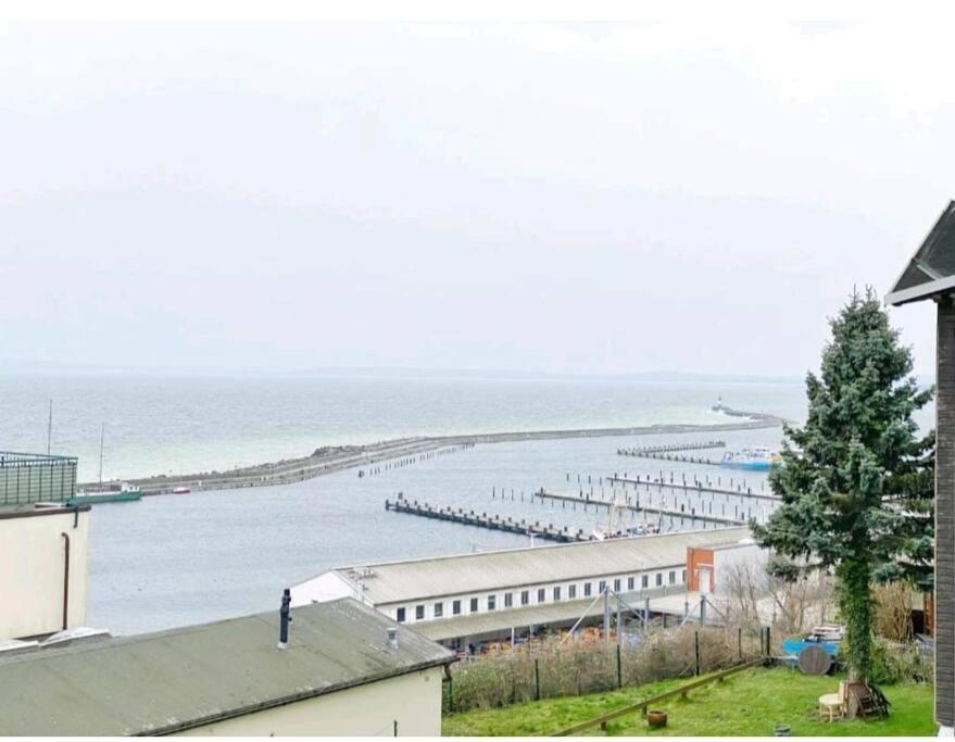 Apartment Seevogel In Mit Seeblick *
